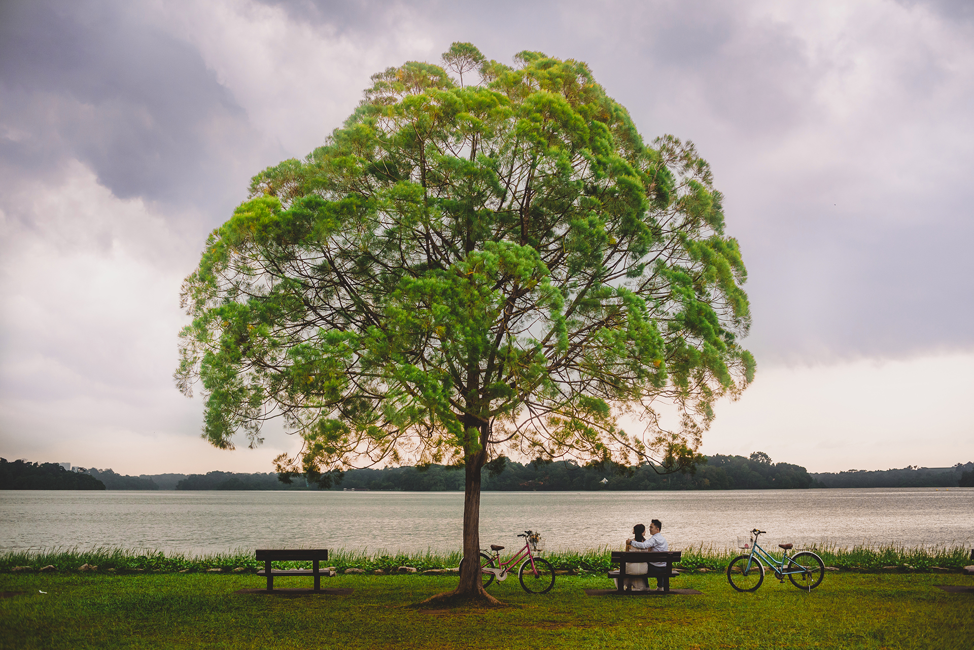 singapore-wedding-directory