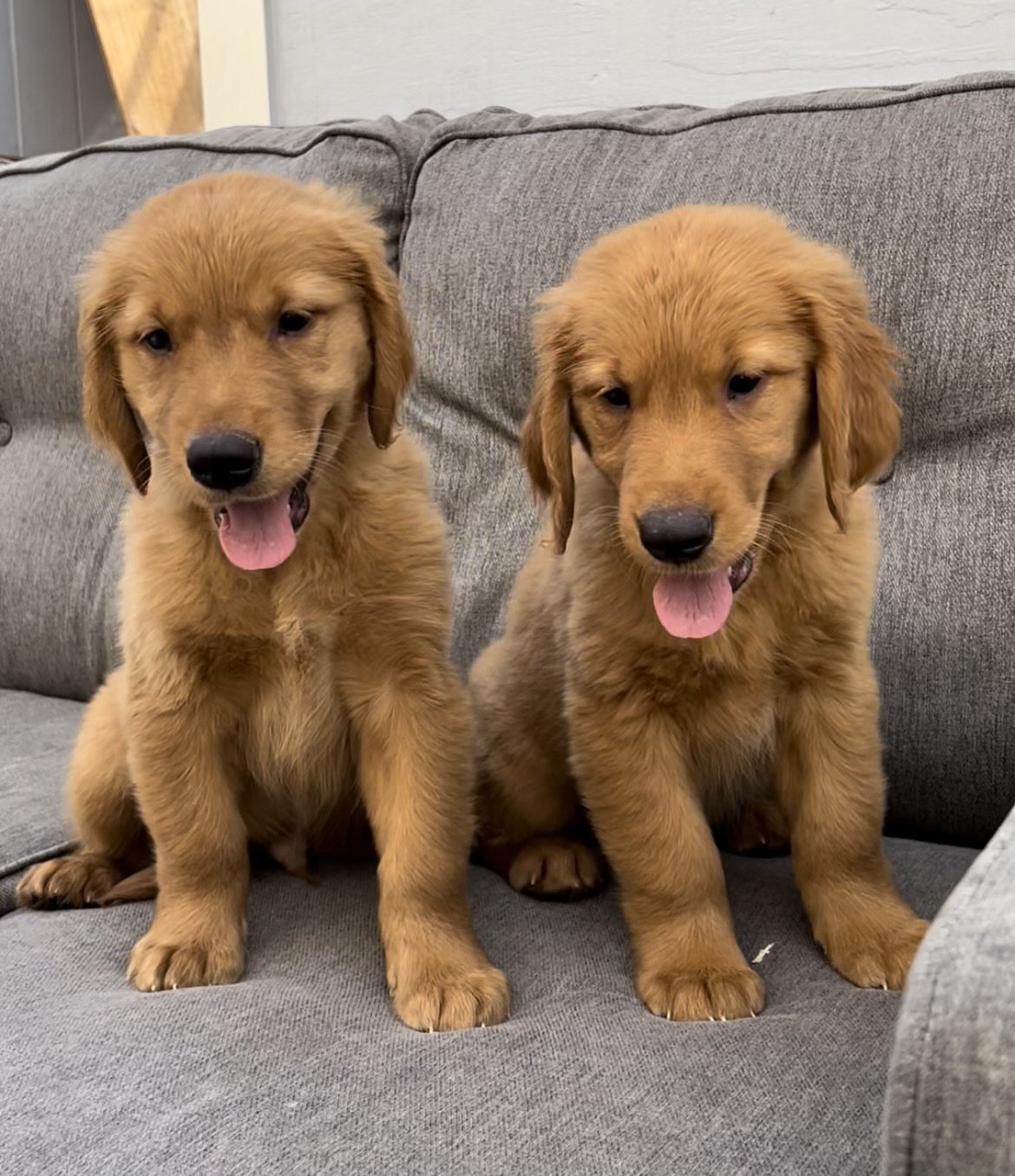 BC0B67CB-FA84-41D7-9A94-53FEC2119A2B